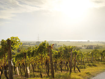 Raderlebnis Region Neusiedler See | 2 Nächte im Zimmer mit Weitblick & täglichem Jausenpaket