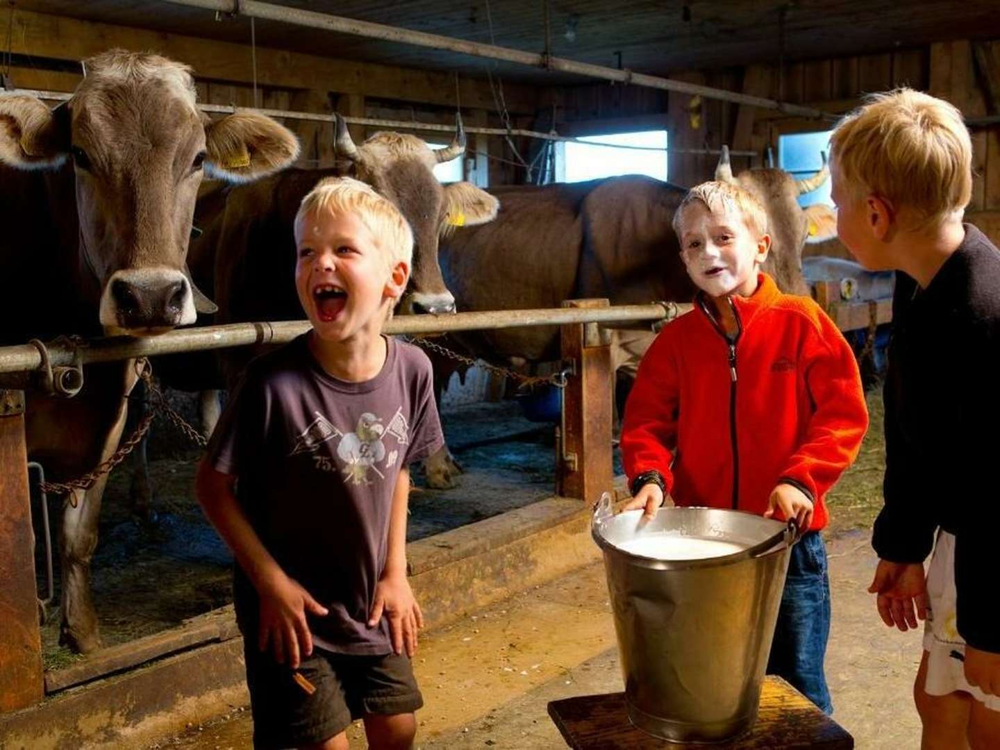 Familienurlaub im Bregenzerwald inkl. HP & Kinderbetreuung | 2 Nächte