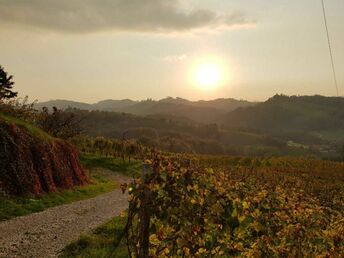 Kurzurlaub in der Steiermark - inkl. steirischer Brettljause | 2 Nächte