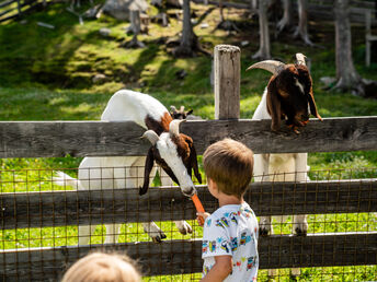 Tradition & Natur Pur in den Schladminger Bergen | 3 Tage inkl. Halbpension 