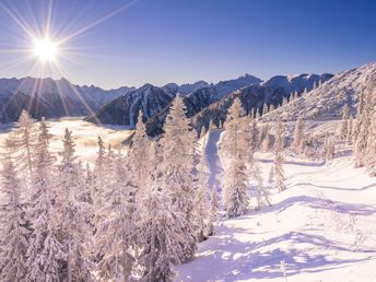 Winter im Skiparadies Schladming im adults only Hotel direkt an der Piste  