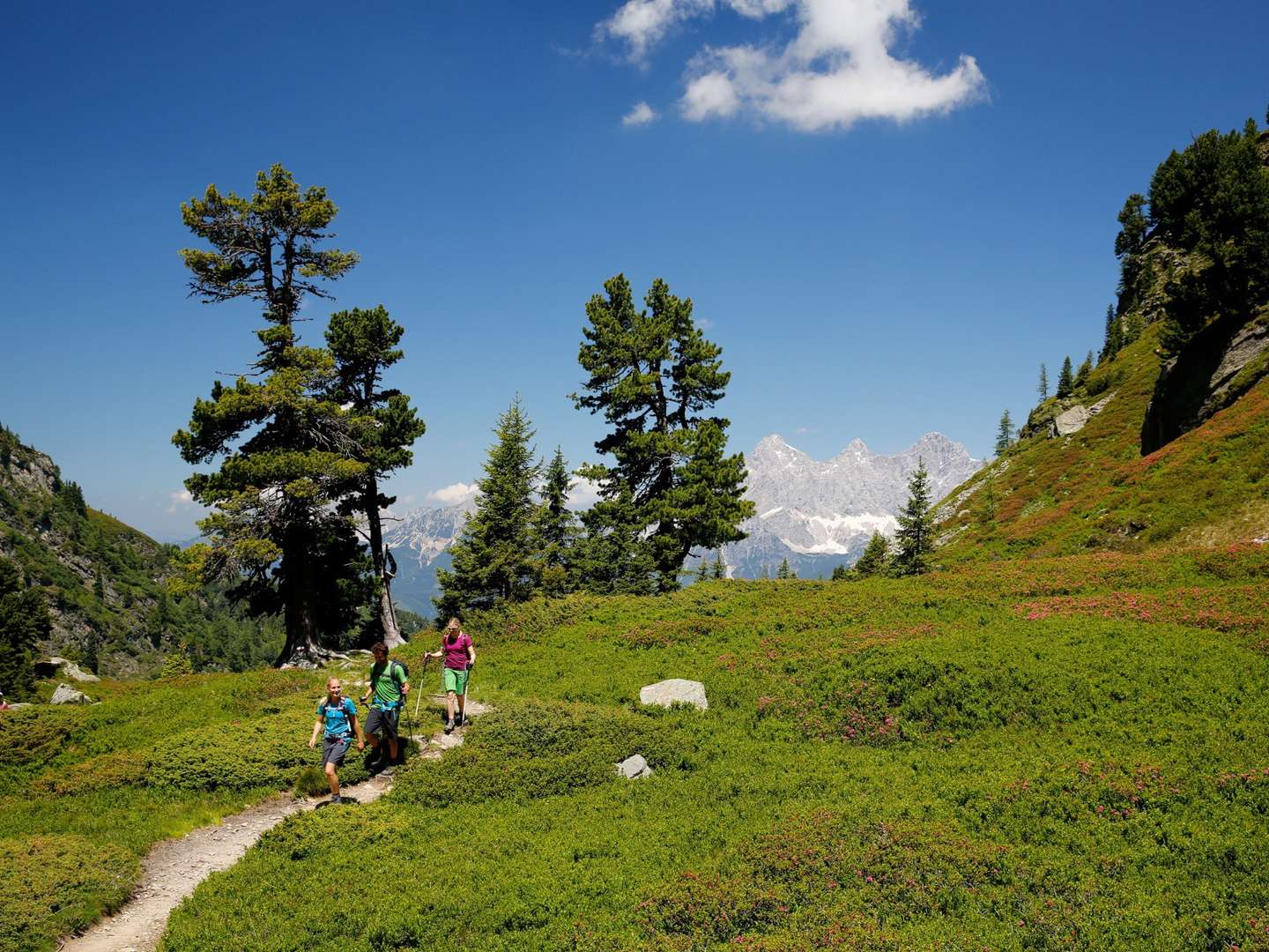 7=6 Schladming Sommer Special inkl. Bergbahnen & Wanderbussen | 7 Nächte