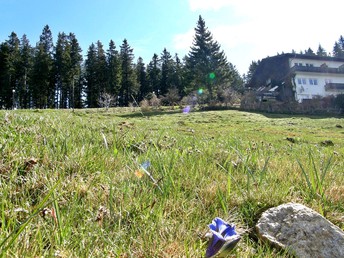 Raus in die Natur - Entspannen auf der Koralm | 3 Nächte