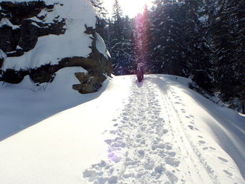 Natur pur - Energietanken auf der Alm in Kärnten | 4 Nächte