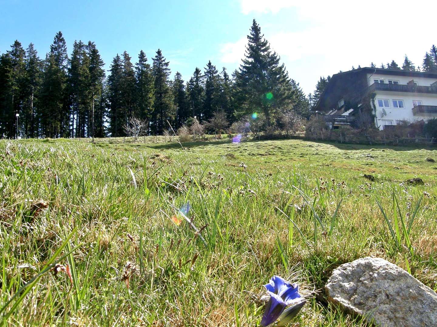 Raus in die Natur - Erholung & Ruhe auf der Alm | 7 Nächte