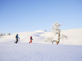 Aktiv-Woche in Tirol inkl. Bad & geführten Wanderungen