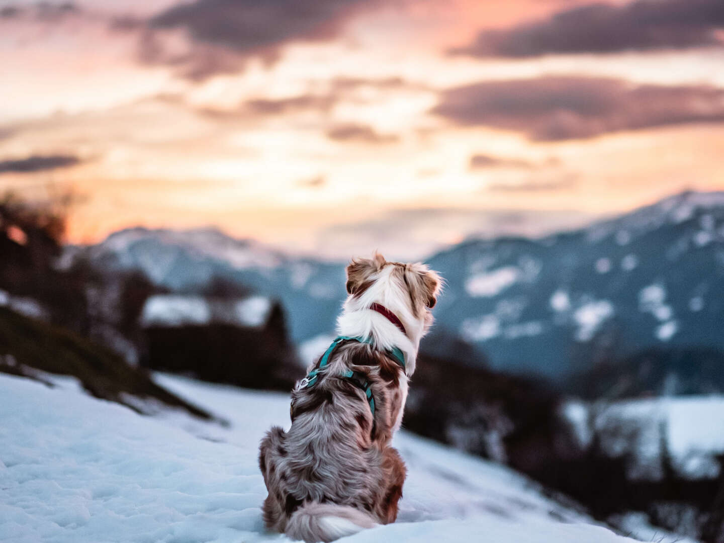 Lass den Alltag hinter dir im Montafon inkl. Massagen