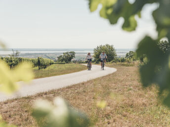 Genussurlaub - Ganslzeit im Burgenland inkl. Gansl Menü | 1 Nacht