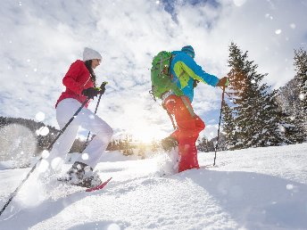 Winterurlaub -Schneeschuhwandern in den Nockbergen | 3 Nächte