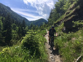 Urlaub mit Ihrem vierbeinigen Freund im Salzburger Land | 2 Nächte