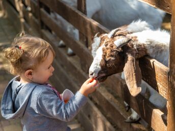 Familienurlaub im Salzburger Land - Wandergenuss & tierischer Spaß | 7 Nächte