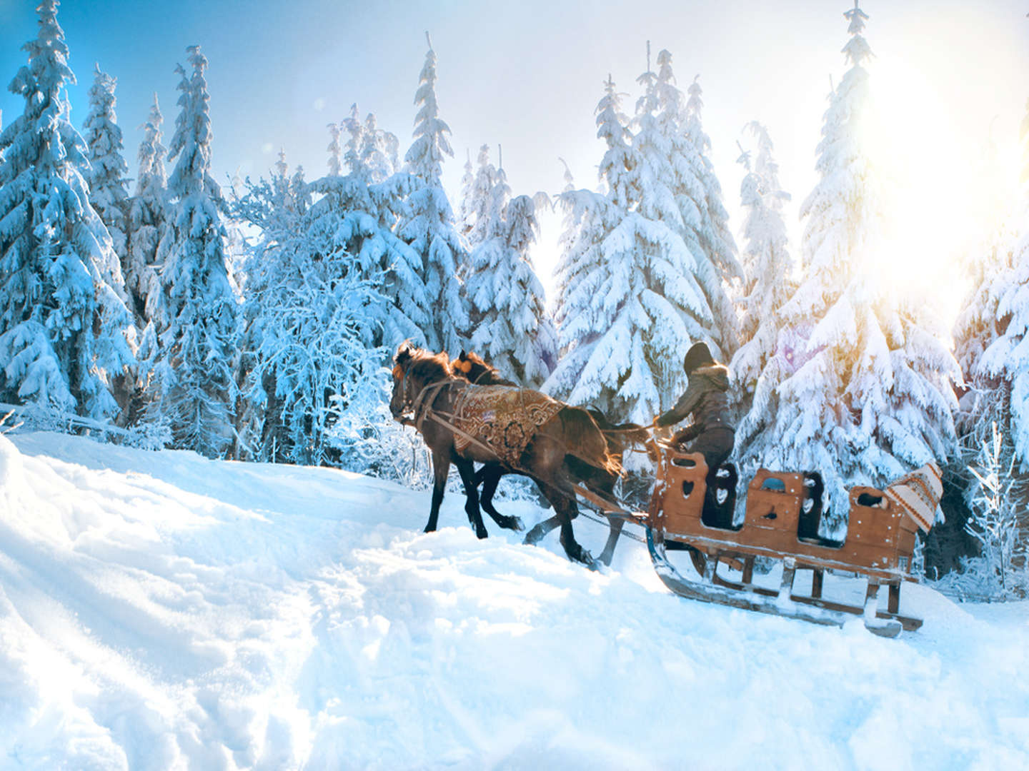 Advent & Weihnachten in Ramsau am Dachstein | inkl. Pferdeschlittenfahrt