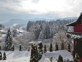 Silvester mit Ihrem Vierbeiner in Kärnten inkl. Gala  | 7 Nächte  