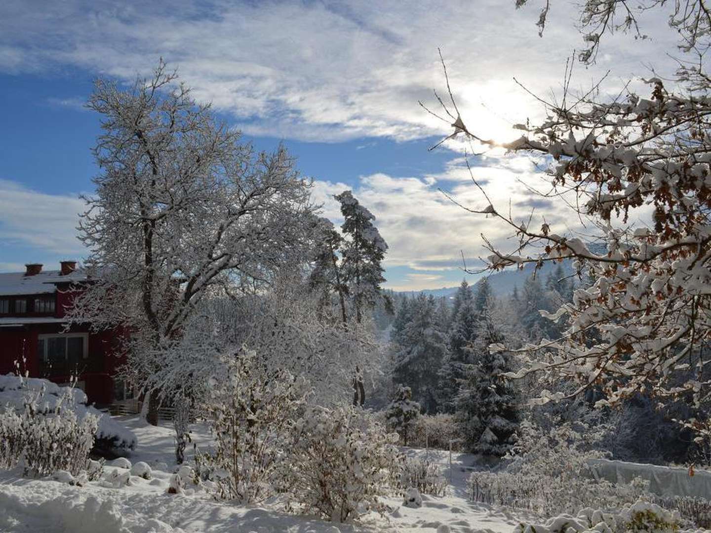 Kärnten Winter inkl. Kulinarik & Wein in der Neujahrswoche | 3 Nächte 