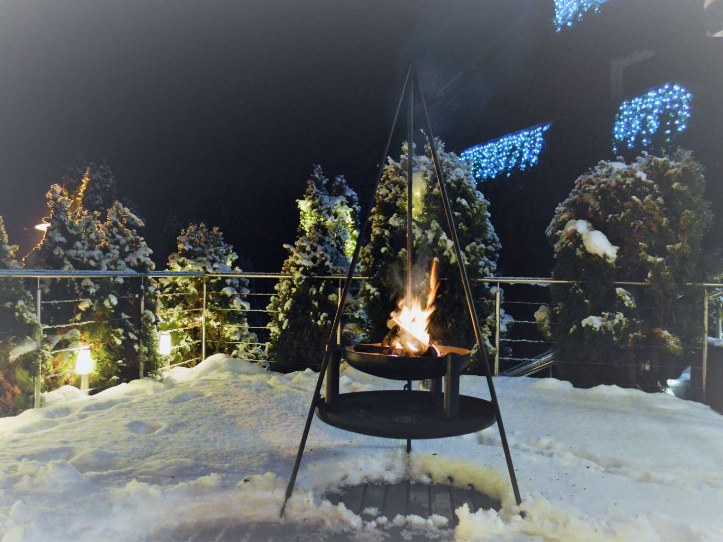 Silvester mit Ihrem Vierbeiner in Kärnten inkl. Gala  | 7 Nächte  