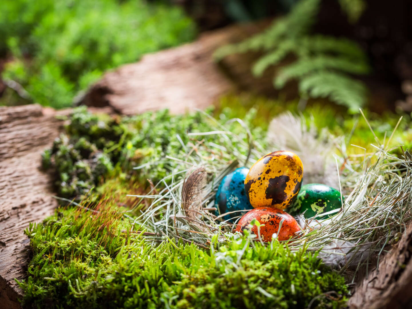 Ostern: Wienerwald & Wien Eentdecken | 2 Nächte