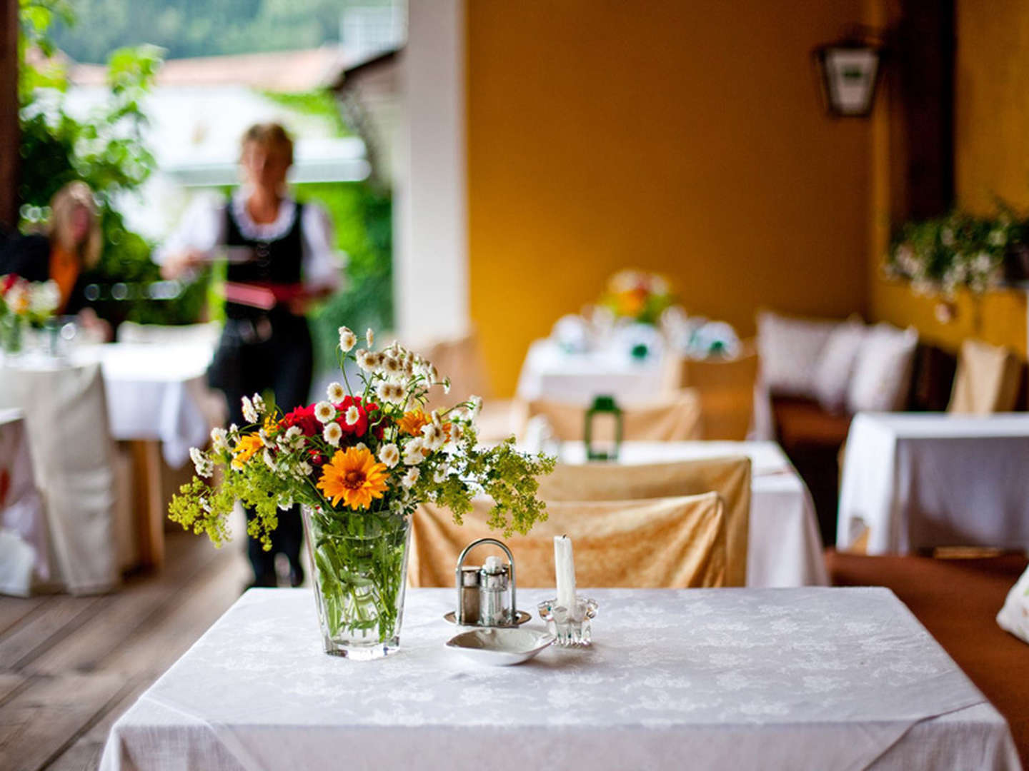 Langlaufen in der Region Murau-Kreischberg inkl. Leihausrüstung | 4 Nächte