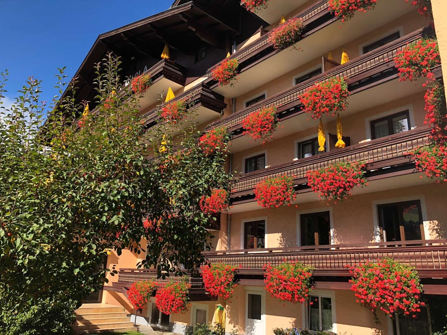 Alpina Wellness-Hit inkl. tägliches Wahlmenü & Eintritt in das Thermal Hallenbad | 4 Nächte