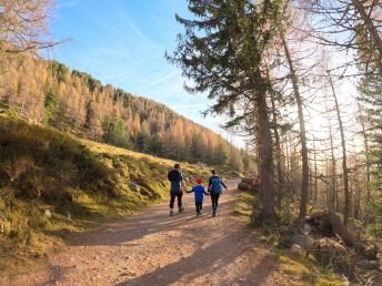 Bergurlaub mit Wellnesserlebnis - Wohlfühlen im Lungau | 6 Nächte