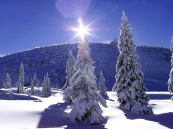 Genussurlaub im Herzen der Ybbstaler Alpen inkl. Wunder Card | 5 Nächte