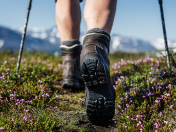 Genussurlaub im Herzen der Ybbstaler Alpen inkl. Wunder Card | 7 Nächte