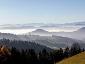 Auszeit in der Grünen Steiermark |3 Nächte inkl. GenussCard