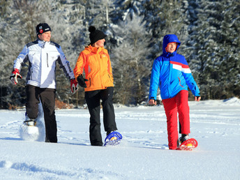 Winterzauber im Haagerhof  mit Frühstück  3 Nächte WE