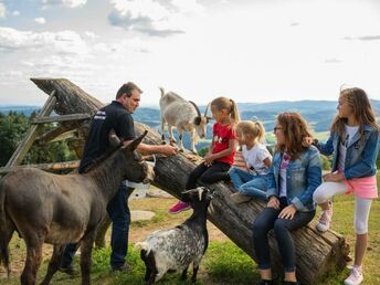 Mühlviertler Traumtage - Auszeit im Böhmerwald | 2 Nächte