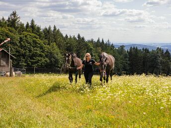 Auszeit im Böhmerwald | 5 Nächte