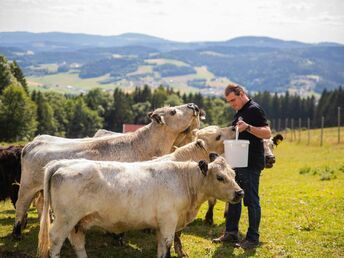 Mühlviertler Traumtage - Auszeit im Böhmerwald | 2 Nächte