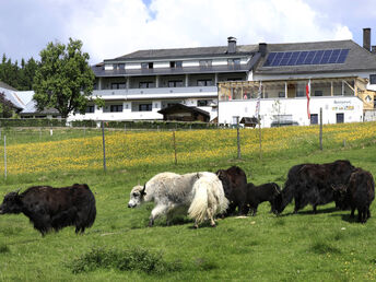 Ostern  im Landhotel Haagerhof 3 Nächte