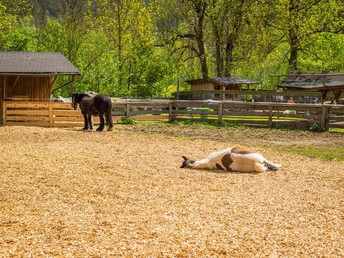 Familienurlaub im Kinderhotel Appelhof | 3 Nächte