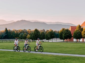 Pure Entspannung im hoteleigenem Wellnessbereich | 1 Nacht