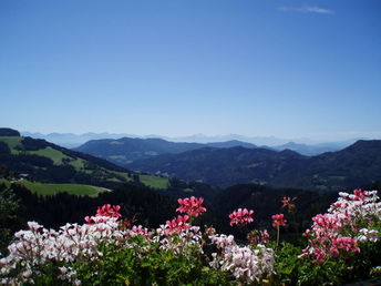 Weihnachtsauszeit - in Ruhe und Entspannung mit wunderbarer Aussicht