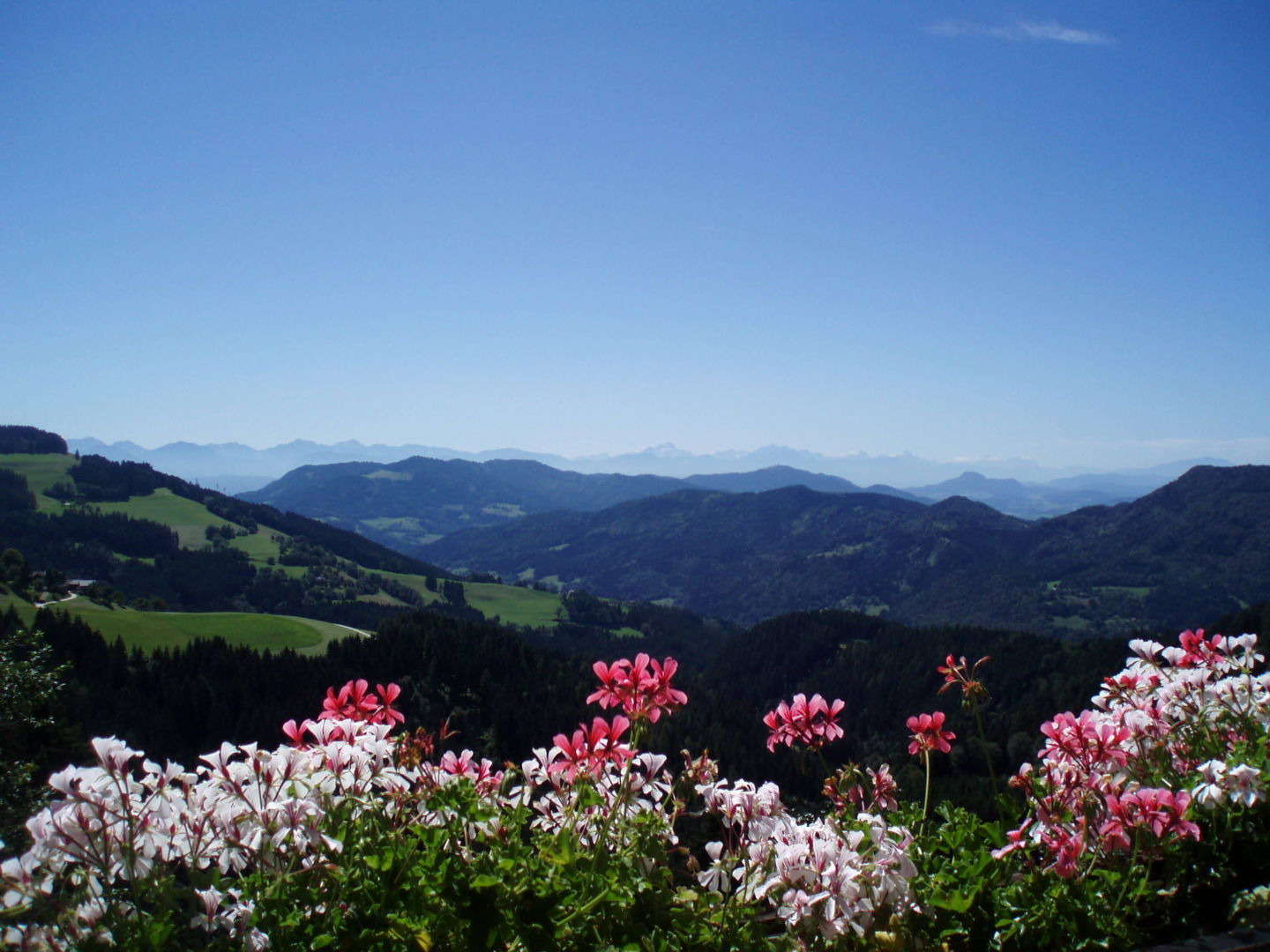 Weihnachtsauszeit - in Ruhe und Entspannung mit wunderbarer Aussicht