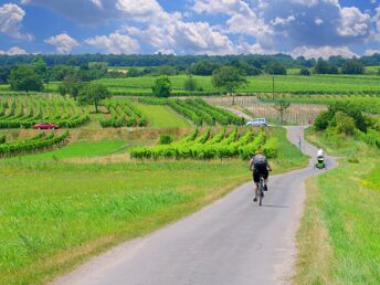 Entdecken Sie das Burgenland auf 2 Rädern mit Rad - Verleih | 2 Nächte