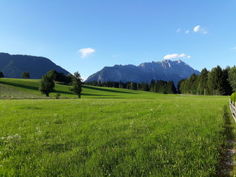 Naturnahe Erholung - Bergwelt entdecken und genießen inkl. 5-Gang-Menü & Sommercard | 3 Nächte