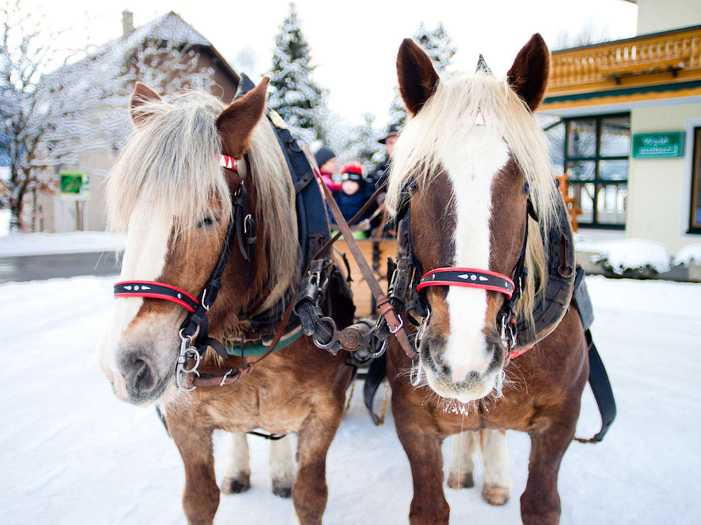 Erlebnisurlaub in der Steiermark  