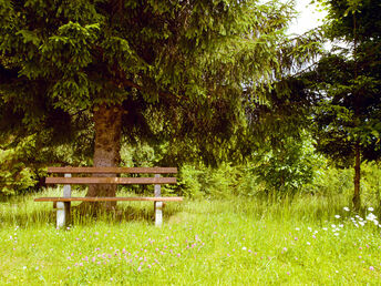 Waldbaden in der steirischen Region Schladming-Dachstein inkl. Themenmenü & Sommercard | 4 Nächte