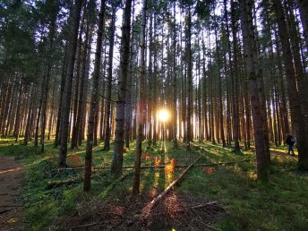 Naturnahe Erholung - Bergwelt entdecken und genießen inkl. Lunchpaket & SommerCard* | 3 Nächte