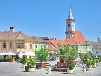 Neujahr im Seewinkel | 4 Tage inkl. Eintritt in die St. Martins Therme 