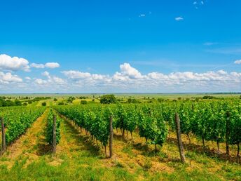 Kurzurlaub in der Region Neusiedler See | 2 Nächte  