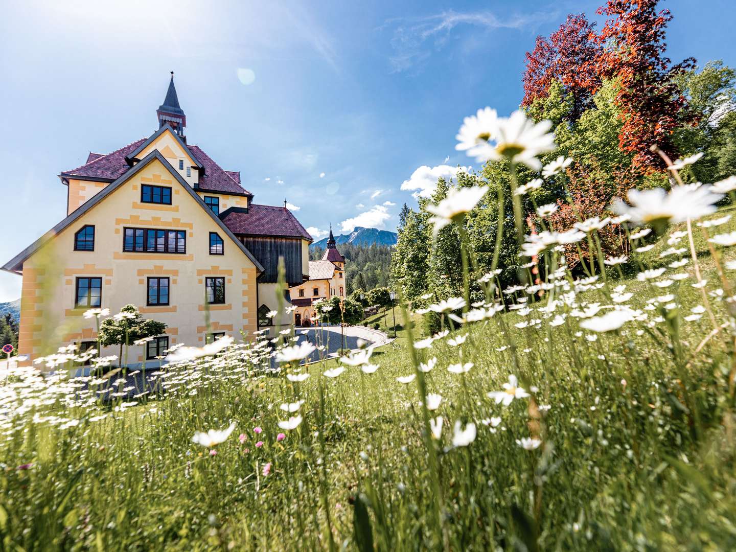 Herbstzeit und Hirschlosn | von 27. - 29. September inkl. geführter Wanderung, Wildmenü & Hirschlosn