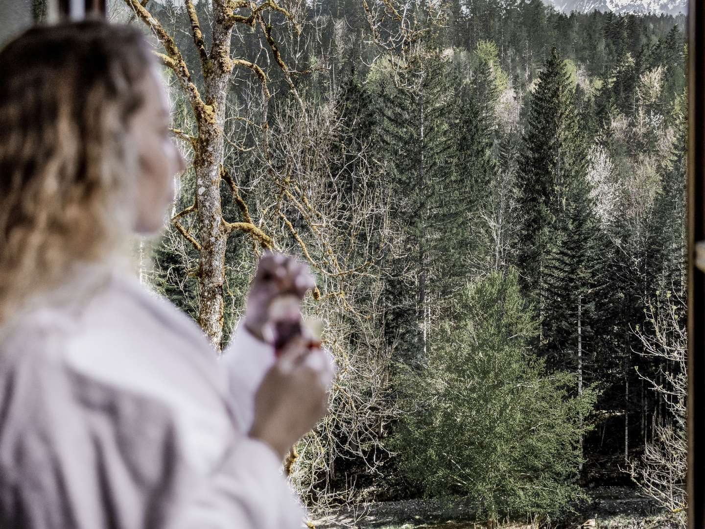 Romantisches Adventwochenende im Nationalpark Gesäuse