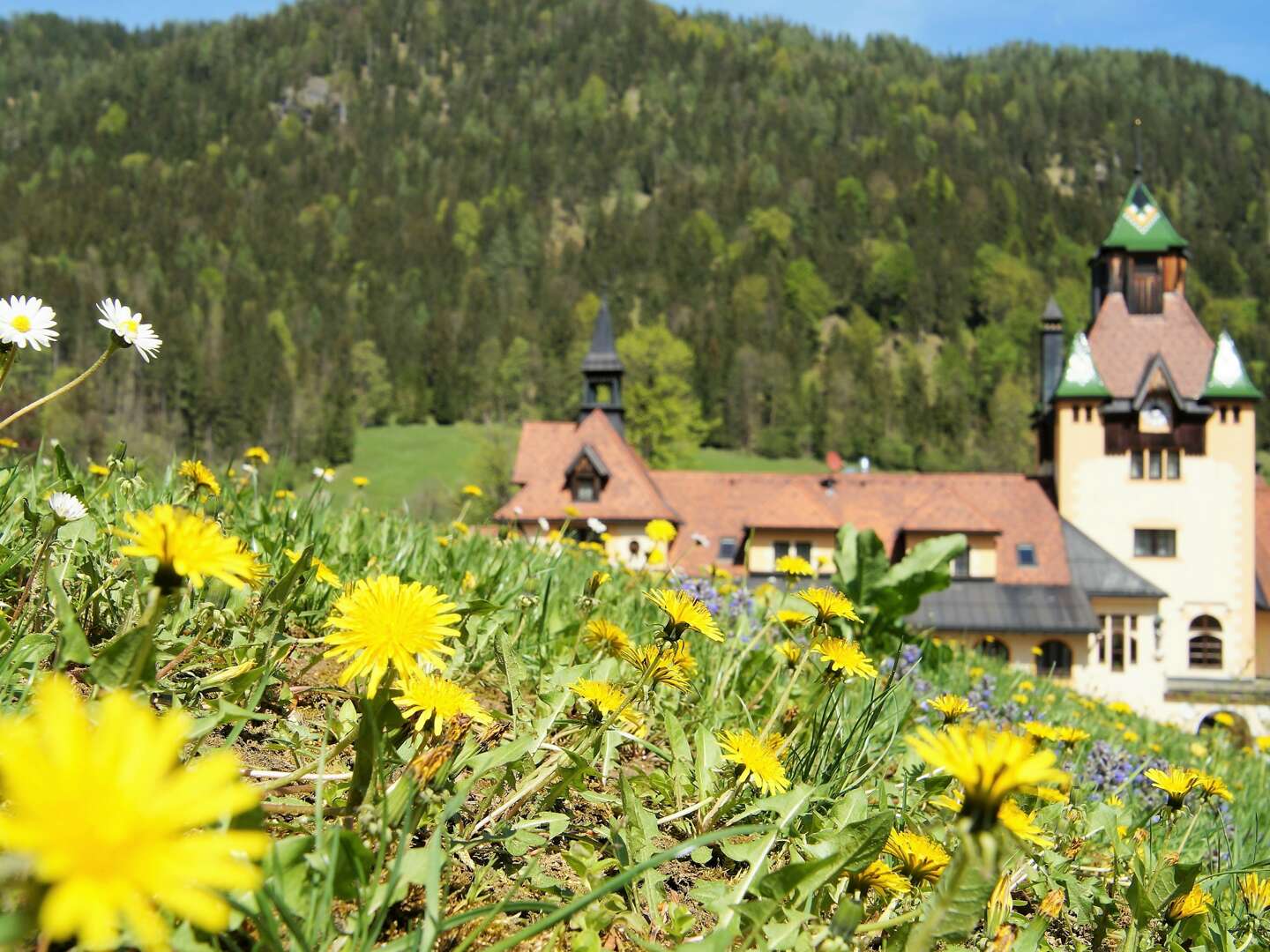 Kräutlerei und Blütenzauber im steirischen Gesäuse | 3 Nächte inkl. Besuch am Kräuterbauernhof