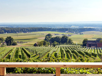 Wochenende in der Luxus-Weinberg-Lodge mit eigenem Wellnessbereich | 2 Nächte