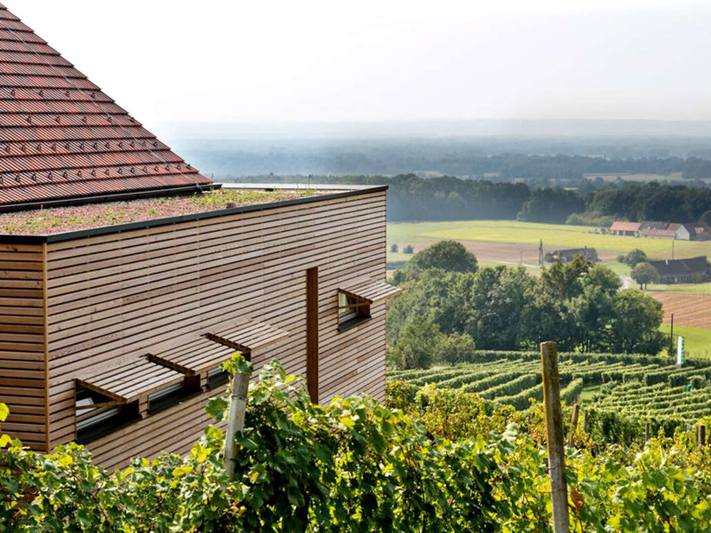 Wochenende in der Luxus-Weinberg-Lodge mit eigenem Wellnessbereich | 2 Nächte