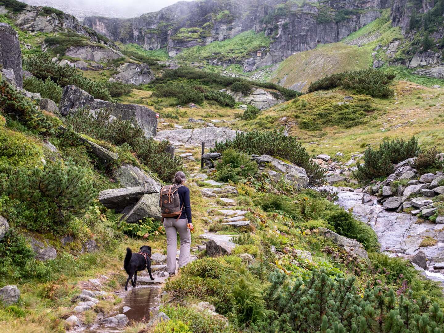 Urlaub mit Hund im Nationalpark Hohe Tauern Kärnten | 3 Nächte