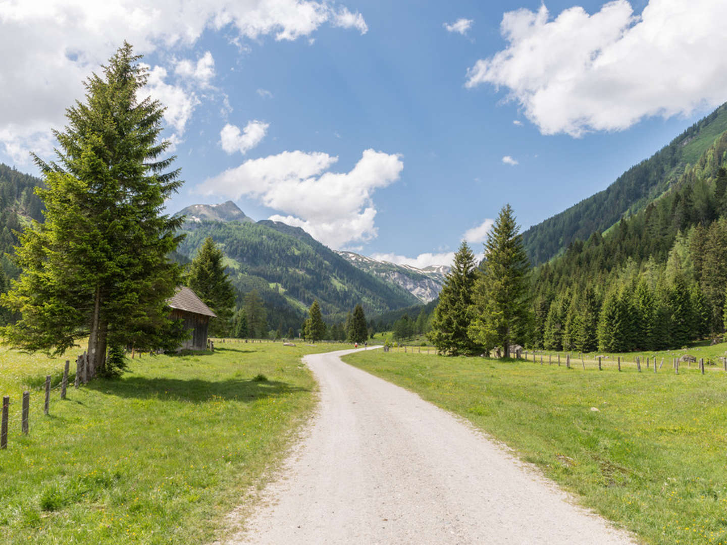 Wanderurlaub mit Ihrem Vierbeiner - Auszeit zwischen den Salzburger Bergen | 7 Nächte