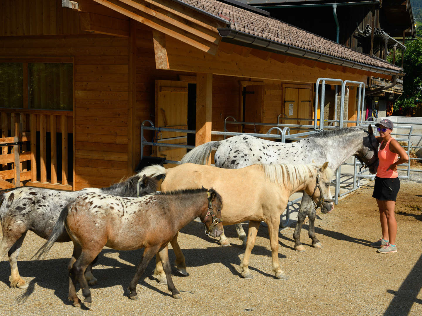 Sommerurlaub inkl. Reitstunden im Salzburger Land | 7 Nächte